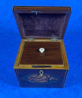 Georgian Mahogany Shell Inlaid Single Tea Caddy (9 of 15) Georgian Mahogany Shell Inlaid Single Tea Caddy (9 of 15)