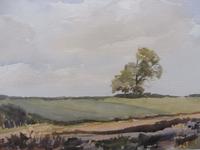 Watercolour Middlebere Heath Listed Artist Ronald Birch (9 of 10) Watercolour Middlebere Heath Listed Artist Ronald Birch (9 of 10)