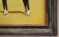 Horse oil painting 'Victor' by L Mallender (4 of 8) Horse oil painting 'Victor' by L Mallender (4 of 8)