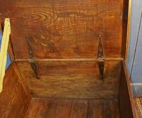 19th Century Country Elm Trunk (6 of 13) 19th Century Country Elm Trunk (6 of 13)
