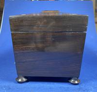 William IV Rosewood Tea Caddy with Mother of Pearl & Pewter Inlay (8 of 8) William IV Rosewood Tea Caddy with Mother of Pearl & Pewter Inlay (8 of 8)