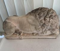 Item Additional Image