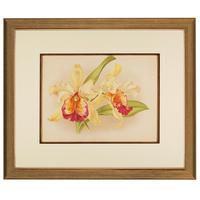 Incredibly Romantic Orchid Chromolithograph 1871-1881 (3 of 4) Incredibly Romantic Orchid Chromolithograph 1871-1881 (3 of 4)