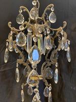 One Light Italian Chandelier (7 of 8) One Light Italian Chandelier (7 of 8)