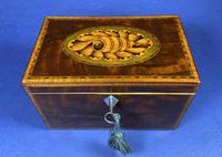 18th Century Mahogany Twin Tea Caddy with Shell Inlay (16 of 17) 18th Century Mahogany Twin Tea Caddy with Shell Inlay (16 of 17)