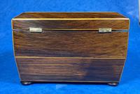 Regency Rosewood Twin Section Tea Caddy (5 of 12) Regency Rosewood Twin Section Tea Caddy (5 of 12)
