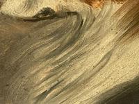 Pair of Scottish 19th Century Oil Paintings Rough Collie Dog Portraits After George Washington Brownlow (14 of 49) Pair of Scottish 19th Century Oil Paintings Rough Collie Dog Portraits After George Washington Brownlow (14 of 49)