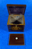 Georgian Mahogany Shell Inlaid Single Tea Caddy (11 of 15) Georgian Mahogany Shell Inlaid Single Tea Caddy (11 of 15)