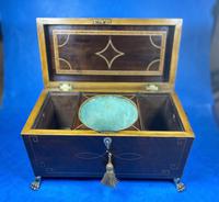 Regency Mahogany Twin Lidded Tea Caddy (2 of 17) Regency Mahogany Twin Lidded Tea Caddy (2 of 17)