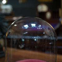 Antique Taxidermy Display Dome, Glass, Showcase, Davis & Co, Bristol, Victorian (2 of 9) Antique Taxidermy Display Dome, Glass, Showcase, Davis & Co, Bristol, Victorian (2 of 9)