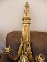 Pair of 5 branch wall lights height 3ft 3 inch brass (free shipping to mainland england) (6 of 11) Pair of 5 branch wall lights height 3ft 3 inch brass (free shipping to mainland england) (6 of 11)