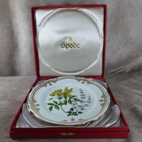 Stafford Flowers Pattern Plate by Spode (2 of 4) Stafford Flowers Pattern Plate by Spode (2 of 4)