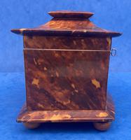 Victorian Tortoiseshell Tea Caddy with Mother of Pearl Inlay (14 of 20) Victorian Tortoiseshell Tea Caddy with Mother of Pearl Inlay (14 of 20)