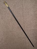 Antique Bovine Horn Handled Ebony Walking Stick With Gold Plate Collar (2 of 11) Antique Bovine Horn Handled Ebony Walking Stick With Gold Plate Collar (2 of 11)