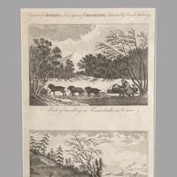 19th Century Etchings of the Ostiacks & Kamptschatka (3 of 3) 19th Century Etchings of the Ostiacks & Kamptschatka (3 of 3)