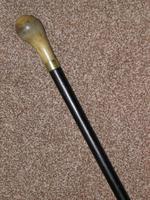 Antique Bovine Horn Handled Ebony Walking Stick With Gold Plate Collar (4 of 11) Antique Bovine Horn Handled Ebony Walking Stick With Gold Plate Collar (4 of 11)