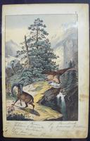 6 Framed Animal Coloured Pictures Plates C1877 Sketches From Nature - N Europe & Lapland (7 of 11) 6 Framed Animal Coloured Pictures Plates C1877 Sketches From Nature - N Europe & Lapland (7 of 11)