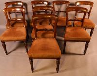 Set of 8 William IV Dining Chairs Mahogany (12 of 12) Set of 8 William IV Dining Chairs Mahogany (12 of 12)