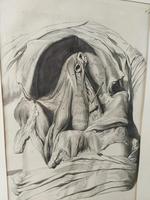 Anatomical Etching c.1698 (2 of 5) Anatomical Etching c.1698 (2 of 5)