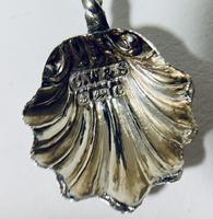 Set of 4 Antique Solid Silver Shell Salts and Spoons (8 of 13) Set of 4 Antique Solid Silver Shell Salts and Spoons (8 of 13)