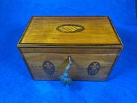 George III Satinwood Twin Tea Caddy with Prince of Wales Inlay (14 of 15) George III Satinwood Twin Tea Caddy with Prince of Wales Inlay (14 of 15)