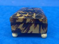 Georgian Pewter Inlaid Tortoiseshell Casket (11 of 15) Georgian Pewter Inlaid Tortoiseshell Casket (11 of 15)