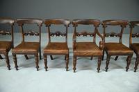 6 William IV Walnut Dining Chairs (5 of 9) 6 William IV Walnut Dining Chairs (5 of 9)