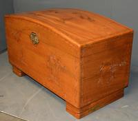 Camphor Wood Trunk (6 of 6) Camphor Wood Trunk (6 of 6)
