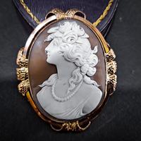 Shell Cameo Brooch (6 of 7) Shell Cameo Brooch (6 of 7)