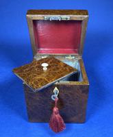 Late Victorian Burr Yew Single Tea Caddy (12 of 32) Late Victorian Burr Yew Single Tea Caddy (12 of 32)