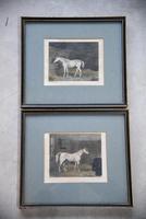 Pair Antique Race Horse Engravings (8 of 11) Pair Antique Race Horse Engravings (8 of 11)
