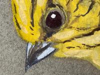 Watercolour "Yellowhammer" Passerine Bird Study By Rolston Gudgeon RSW (34 of 34) Watercolour "Yellowhammer" Passerine Bird Study By Rolston Gudgeon RSW (34 of 34)