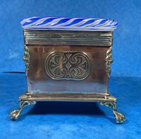 Arts & Crafts Glass and Brass Single Tea Caddy. (14 of 18) Arts & Crafts Glass and Brass Single Tea Caddy. (14 of 18)