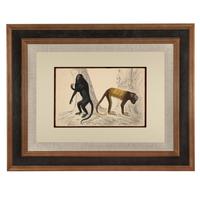 Hand Coloured 'Monkeys' Lithograph. Goldsmith 1875 (4 of 4) Hand Coloured 'Monkeys' Lithograph. Goldsmith 1875 (4 of 4)
