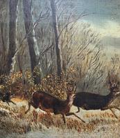 'Chasing The Deer' Beautiful 19th Century Game Hunting Moonlit Landscape Oil Painting (6 of 14) 'Chasing The Deer' Beautiful 19th Century Game Hunting Moonlit Landscape Oil Painting (6 of 14)