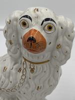 Pair of Antique Staffordshire Dogs (2 of 7) Pair of Antique Staffordshire Dogs (2 of 7)