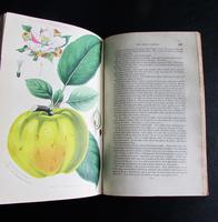 1833 The Practical Gardener & Modern Horticulturist by Charles McIntosh, 2 Volume Set (4 of 8) 1833 The Practical Gardener & Modern Horticulturist by Charles McIntosh, 2 Volume Set (4 of 8)