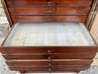 Georgian Collectors Tabletop Specimen Cabinet (20 of 26) Georgian Collectors Tabletop Specimen Cabinet (20 of 26)