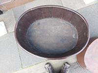 a224895f3ca04ae891a21b0bb05668a1_1783074952509.jpeg