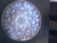 Rene Lalique Bulbes No 2 Opalescent Plate (5 of 8) Rene Lalique Bulbes No 2 Opalescent Plate (5 of 8)