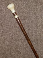 Antique Faux-ivory Pommel Topped Walking Stick with Black Palm Wood Shaft (3 of 12) Antique Faux-ivory Pommel Topped Walking Stick with Black Palm Wood Shaft (3 of 12)