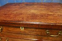 19th Century Country Elm Trunk (8 of 13) 19th Century Country Elm Trunk (8 of 13)