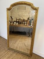 Late 19th Century Arched Top Gilt Mirror 148cms x 90cms (1 of 11)
