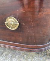 Regency Mahogany Bow Fronted Column Chest of Drawers (18 of 21) Regency Mahogany Bow Fronted Column Chest of Drawers (18 of 21)