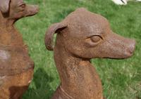 Pair of Large Outdoor Weathered Cast Iron Greyhound Dogs (4 of 9) Pair of Large Outdoor Weathered Cast Iron Greyhound Dogs (4 of 9)