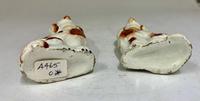 Antique Pair of Miniature Staffordshire Pottery Dogs c.1830 (4 of 5) Antique Pair of Miniature Staffordshire Pottery Dogs c.1830 (4 of 5)