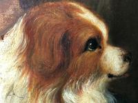 Genre 19th Century Oil Painting Portrait Young Girl & Cavalier King Charles Spaniel "Faithful Friend" (10 of 12) Genre 19th Century Oil Painting Portrait Young Girl & Cavalier King Charles Spaniel "Faithful Friend" (10 of 12)
