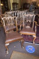 10 Chippendale style Mahogany Dining Chairs (5 of 5) 10 Chippendale style Mahogany Dining Chairs (5 of 5)