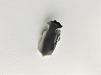 Edwardian Silver 'Shield' Napkin Clip (6 of 8) Edwardian Silver 'Shield' Napkin Clip (6 of 8)