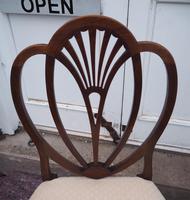 18th Century Hepplewhite Mahogany Single Chair (5 of 5) 18th Century Hepplewhite Mahogany Single Chair (5 of 5)